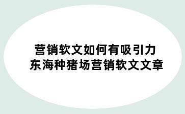 营销软文如何有吸引力 东海种猪场营销软文文章